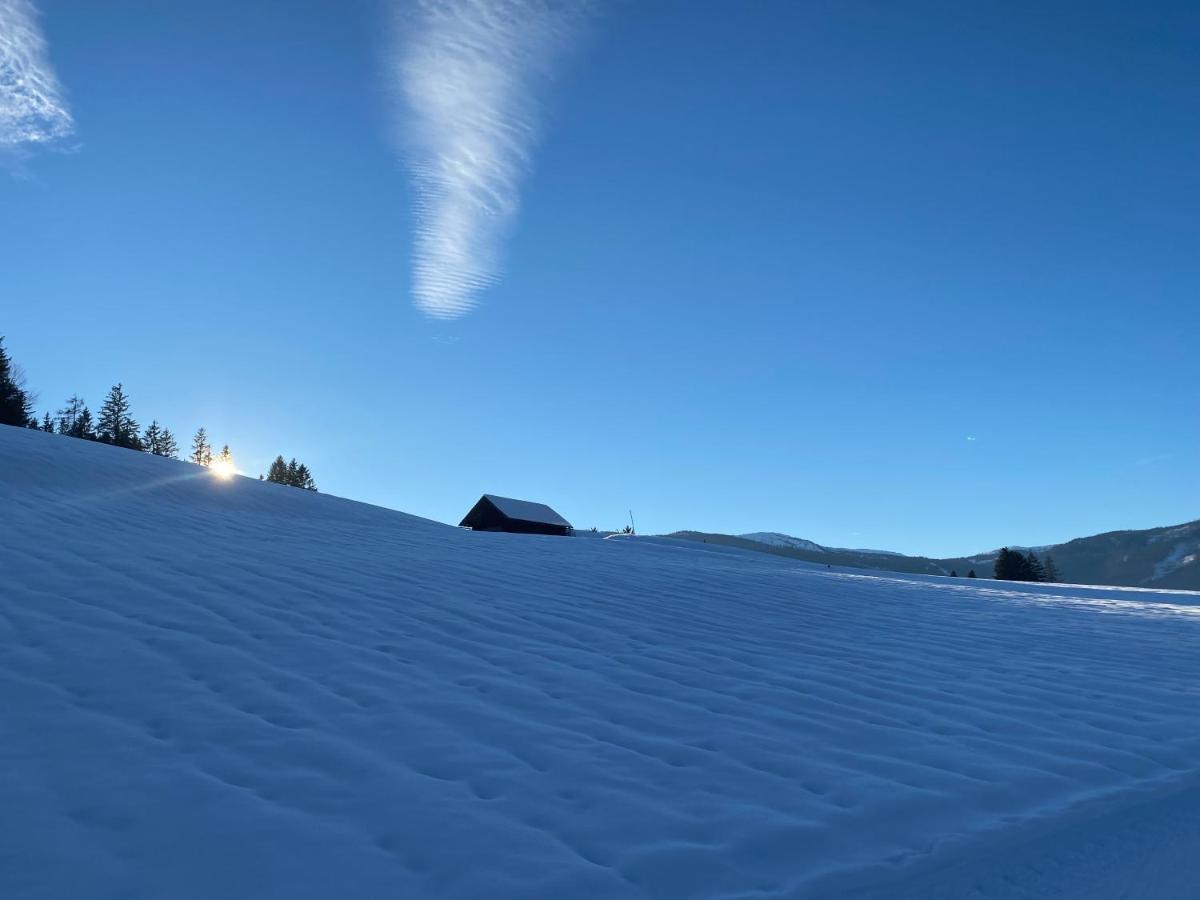Penzion Obersdorfer Hof Bad Mitterndorf Exteriér fotografie