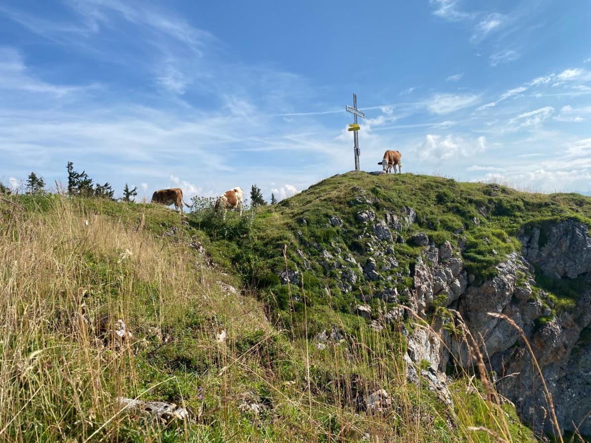 Penzion Obersdorfer Hof Bad Mitterndorf Exteriér fotografie