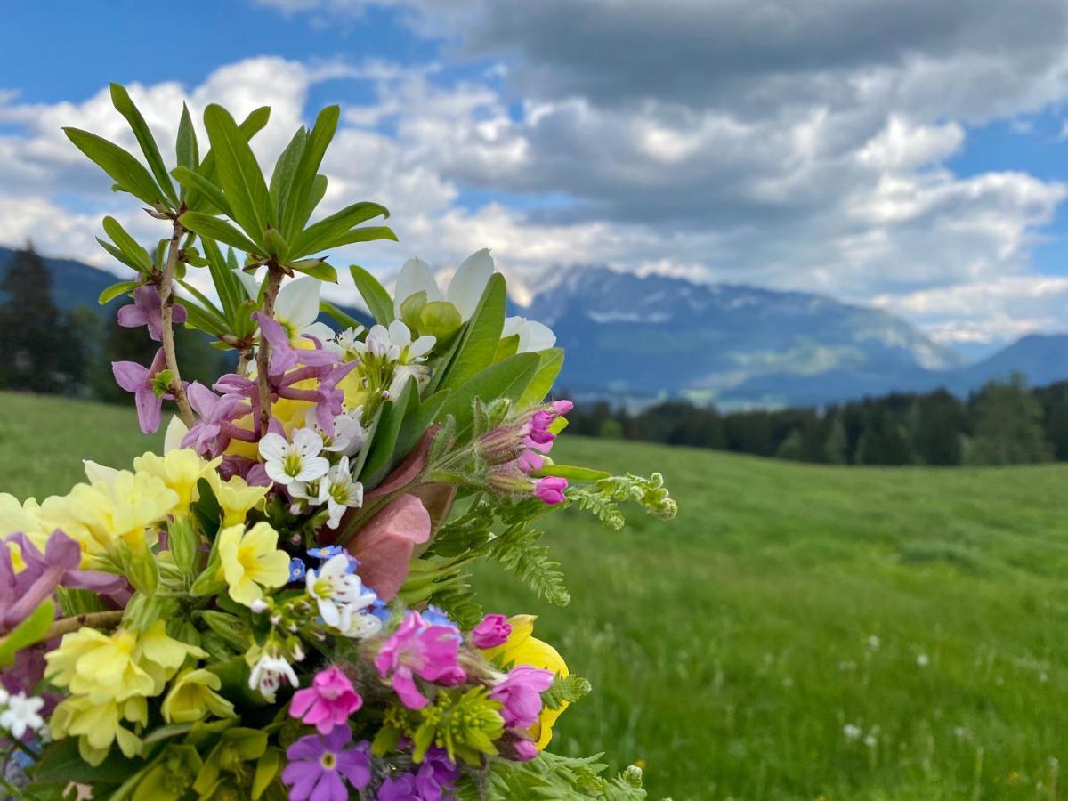 Penzion Obersdorfer Hof Bad Mitterndorf Exteriér fotografie