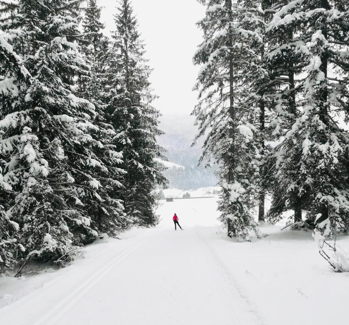Penzion Obersdorfer Hof Bad Mitterndorf Exteriér fotografie